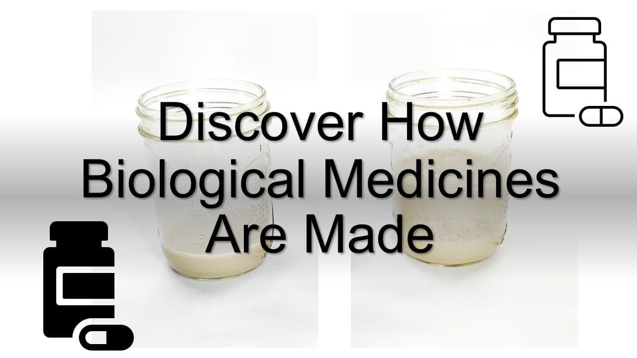 Modeling Biologics Manufacturing | Science Activity
