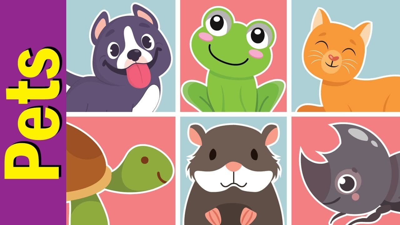 Pets Vocabulary Chant for Children