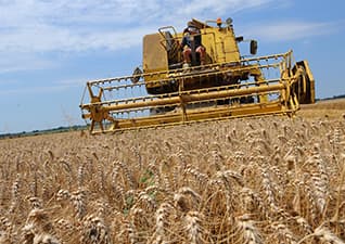 Combine harvesters