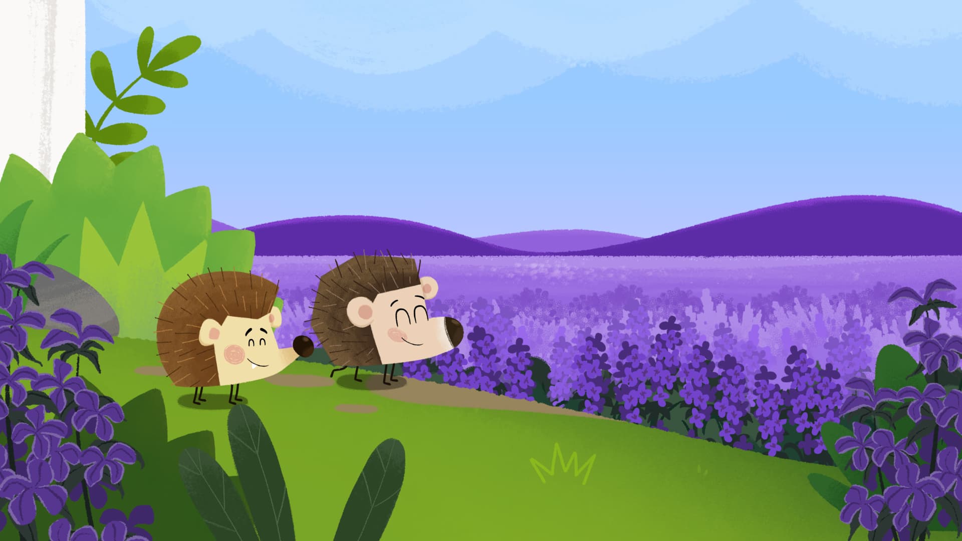 Hedgie Highway