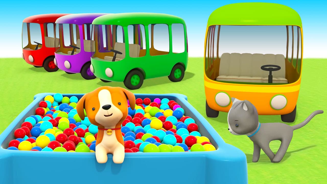 Colour Buses