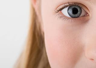 How do we see?