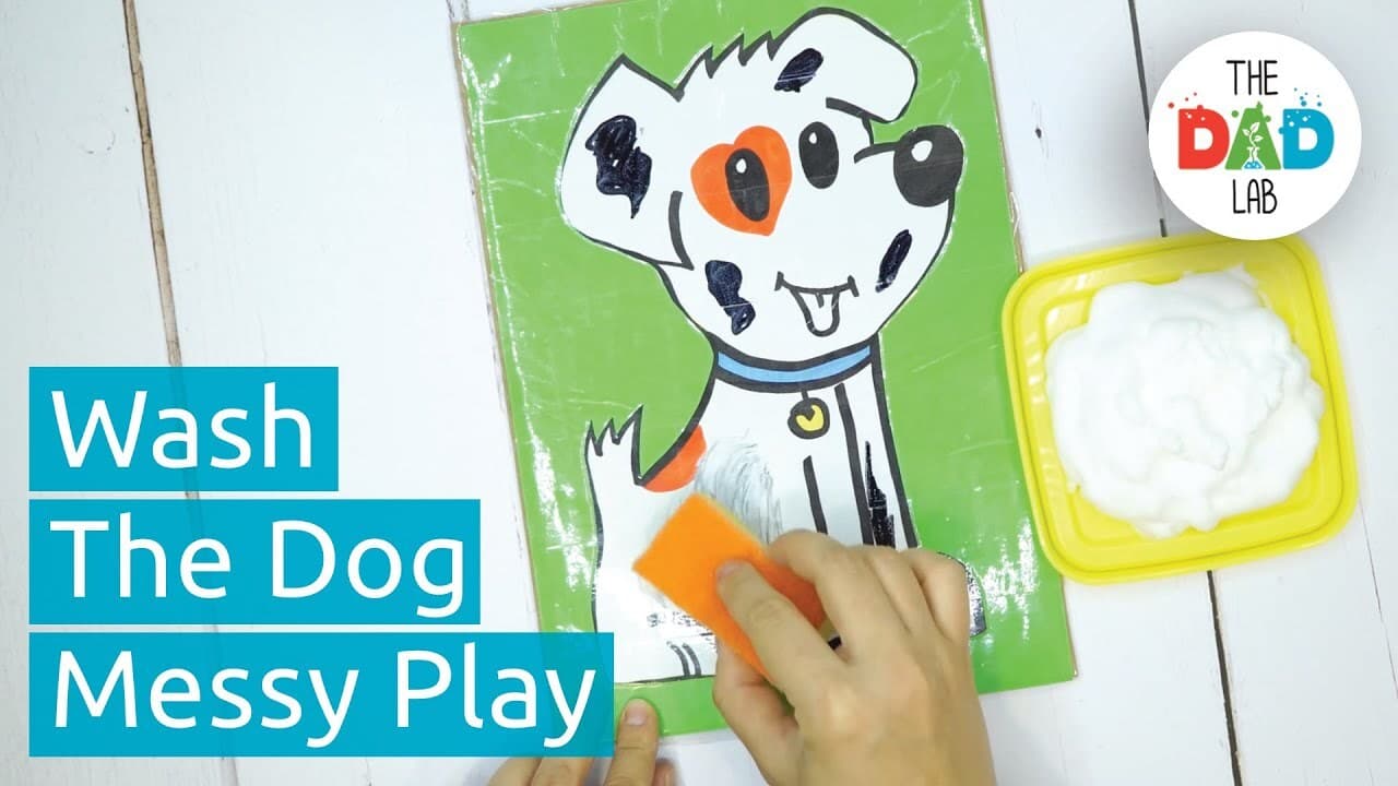 Wash the Dog Activity for Toddlers