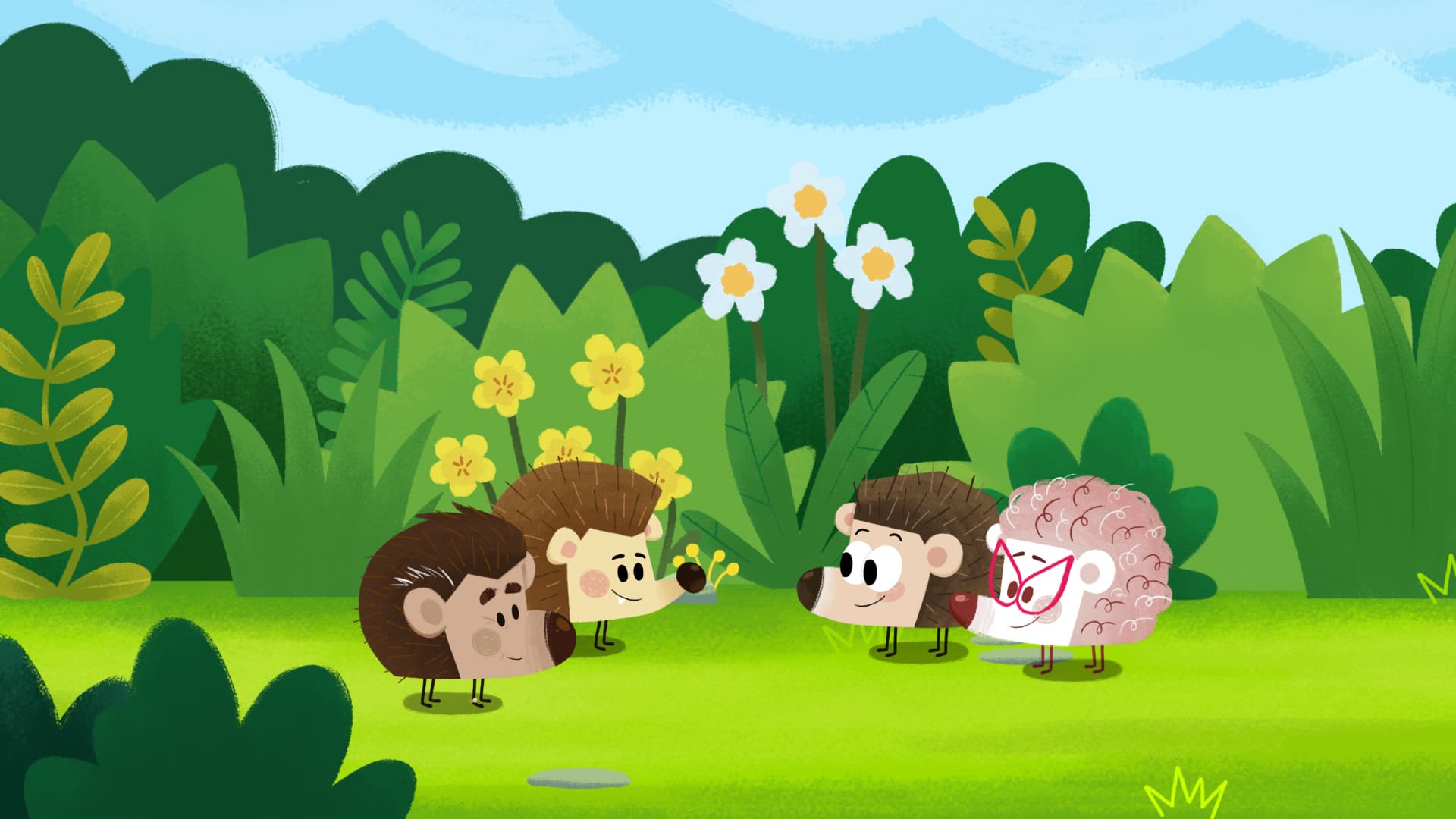 Follow the Hedgie