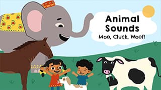 Whats that sound?