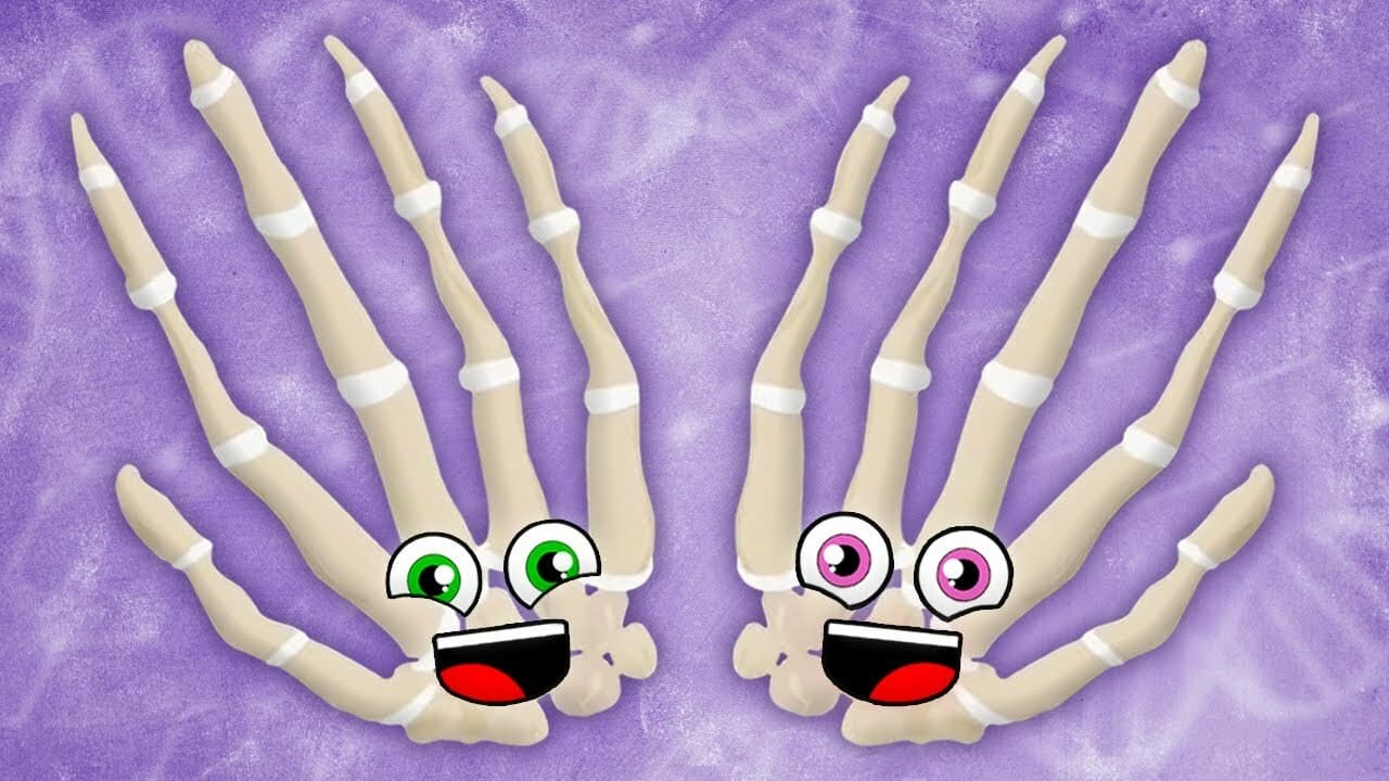 All Of The Bones In Your Hands | KLT Anatomy