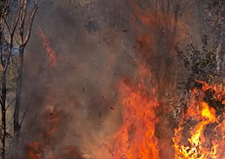 What is burning?