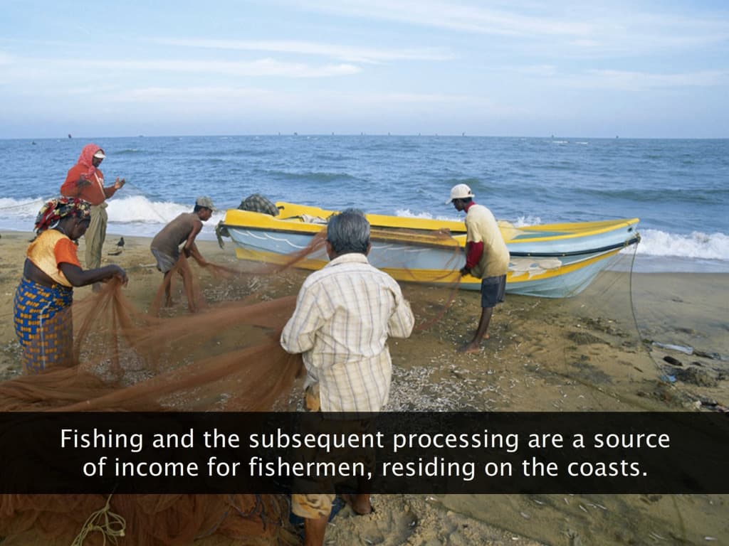 Fisheries