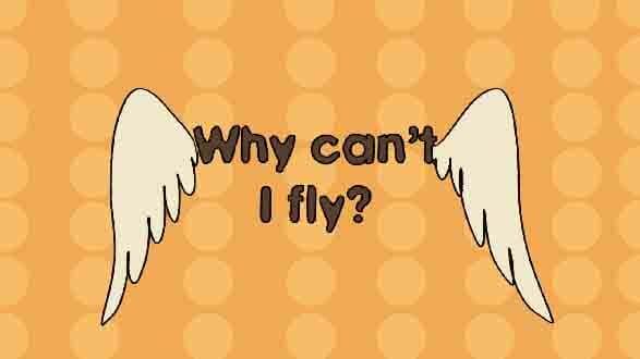 Why can't I fly?