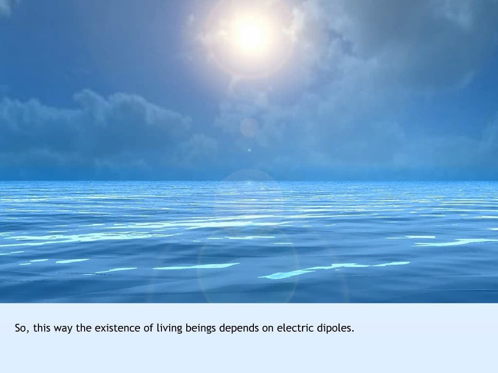 Electric Dipole