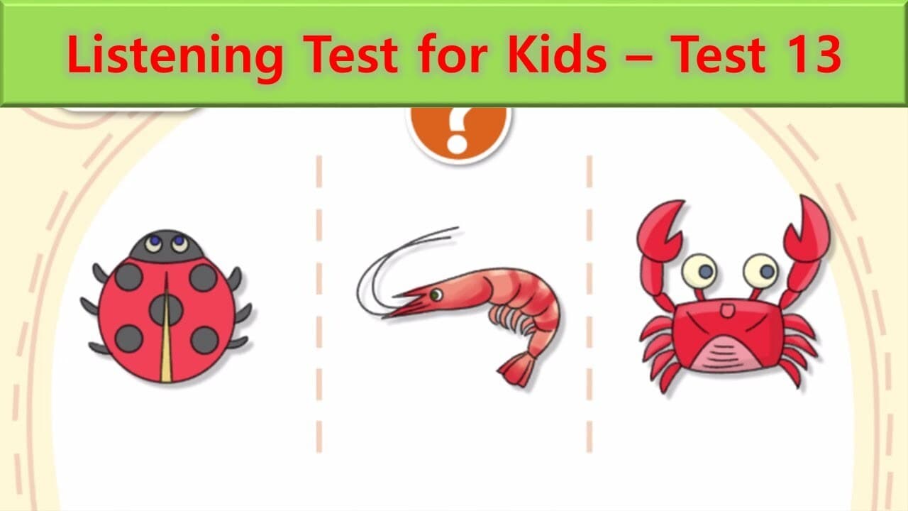 Listening Test 13