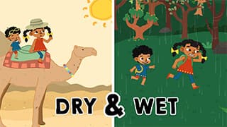 Dry & Wet - Understanding Opposites