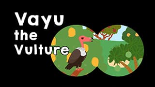 What vultures do?