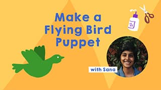 Flying Bird DIY
