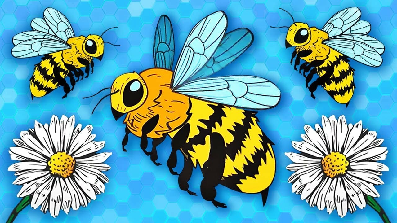 The Western Honey Bees Work Together To Maintain Hives! | The Western Honey Bee Song | KLT