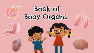 Inside Us - A Journey Through Body Organs