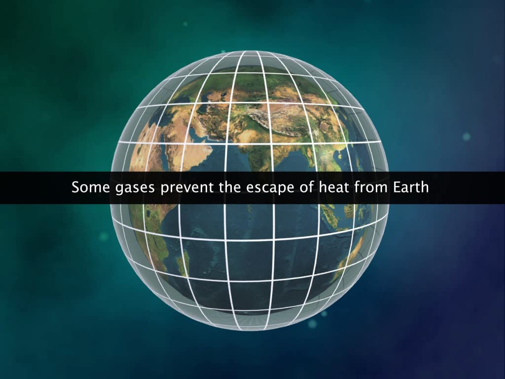 Carbon Cycle