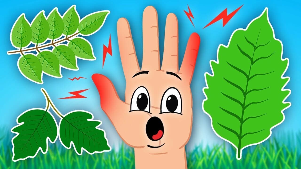 Discover The Top 3 Plants To Stay Away From!