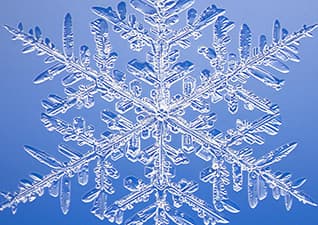 Snowflakes