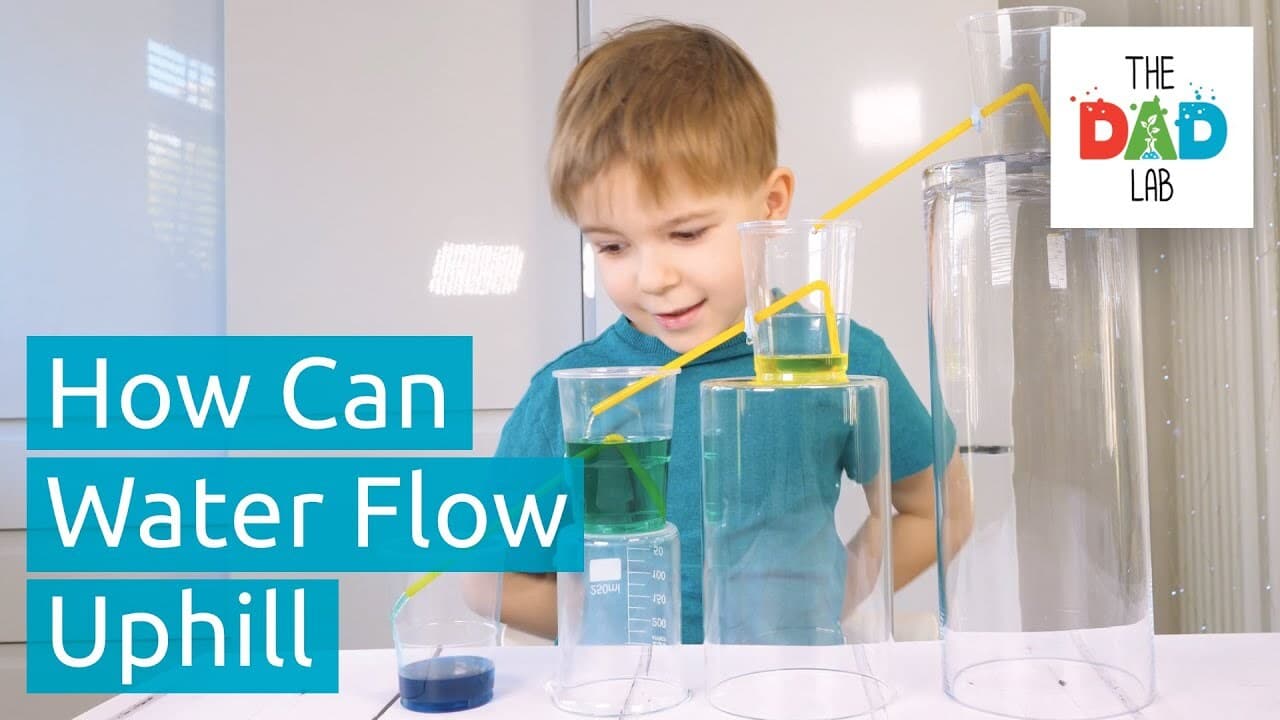 Science Experiment: Water Siphon
