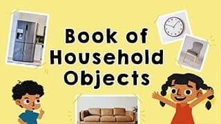 Home Essentials - Exploring Household Objects