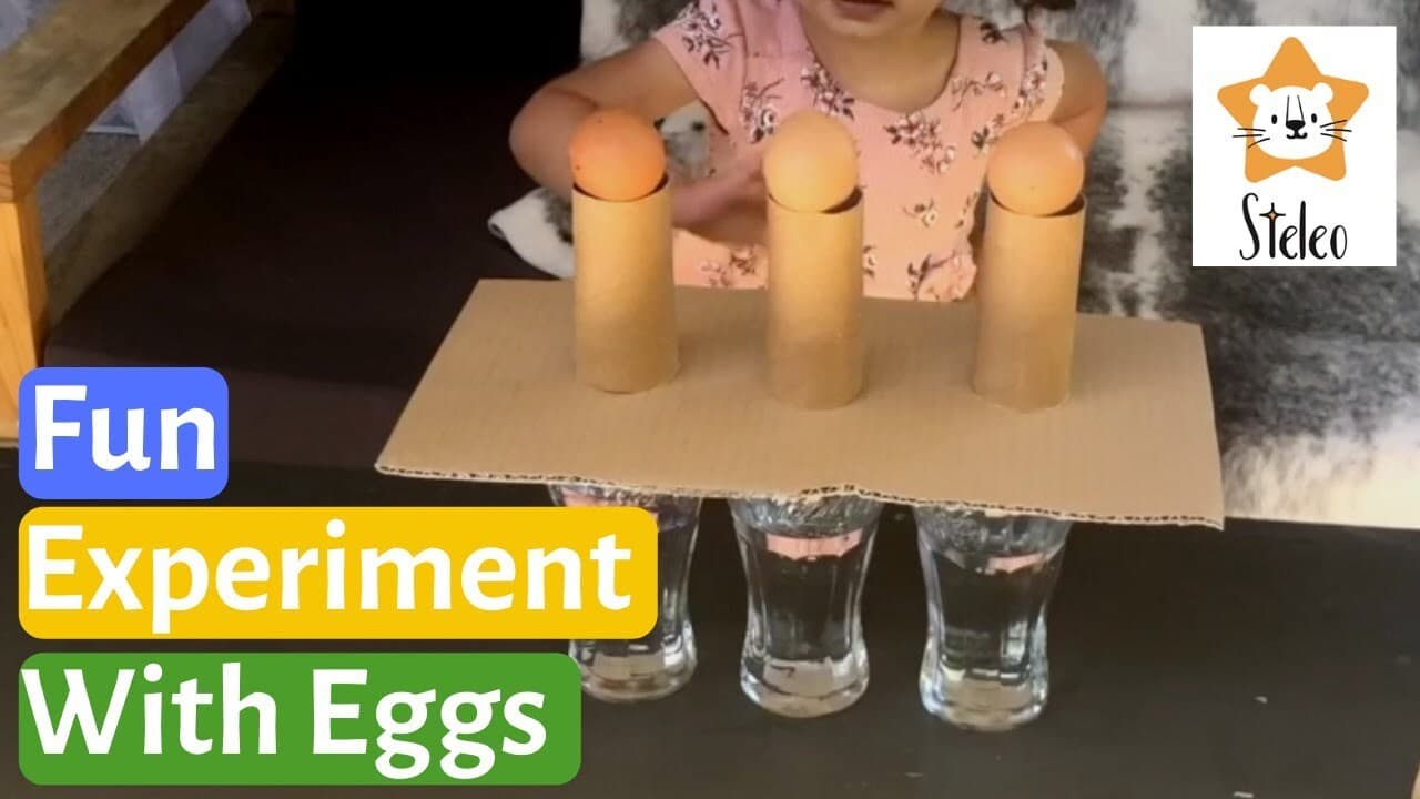 Egg Drop Inertia Science Experiment 