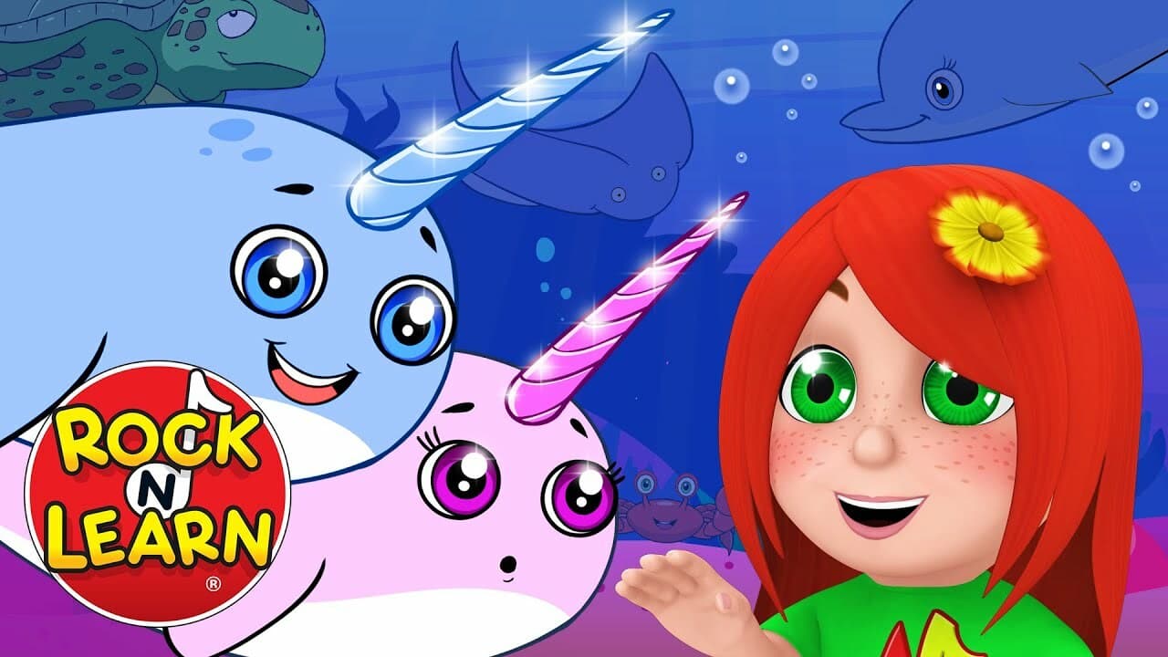Baby Narwhal Song