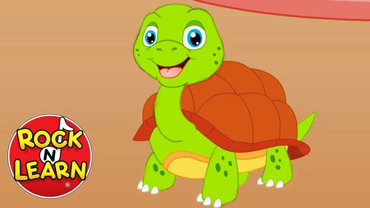 I Had a Little Turtle
