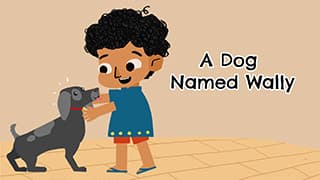 My pet dog