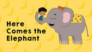 Minku the elephant - My best friend