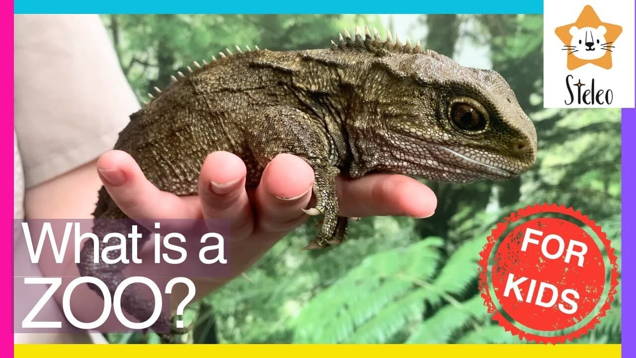What Can We Learn at the Zoo?