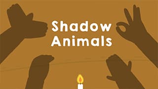 Shadow Animals - Turn on the torch