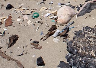 Land pollution