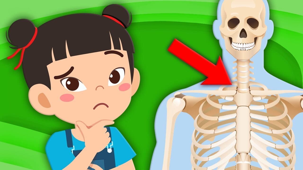 Learn ALL About Spare Ribs!