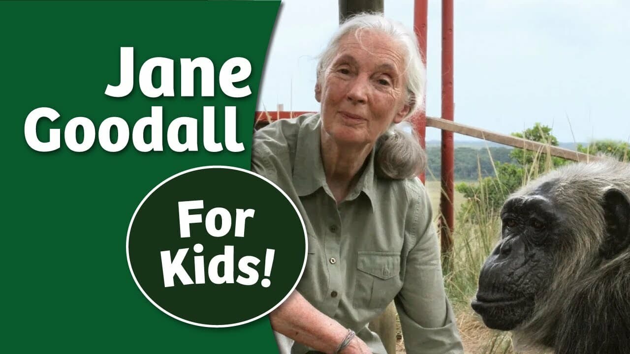Jane Goodall Story for Kids
