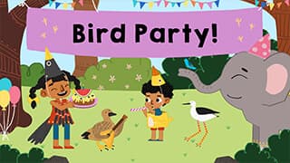 All about birds