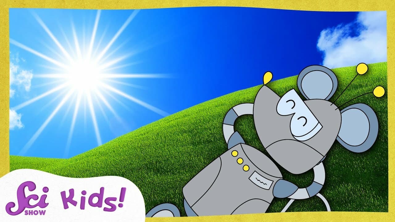 Fun in the Sun | SciShow Kids Compilation