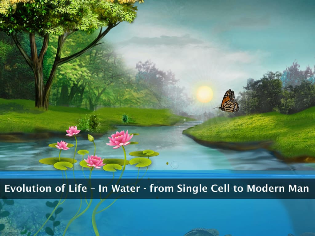 Importance of Water to Living Beings