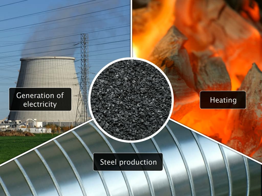 Management of Fossil Fuels