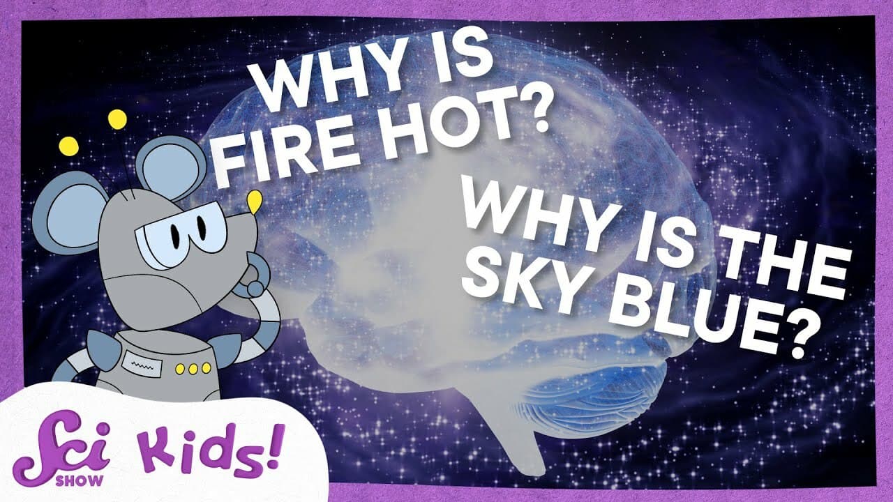 Your Most Epic Questions Answered! | SciShow Kids Compilation