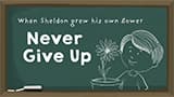 Sheldon's Sunflower Perseverance