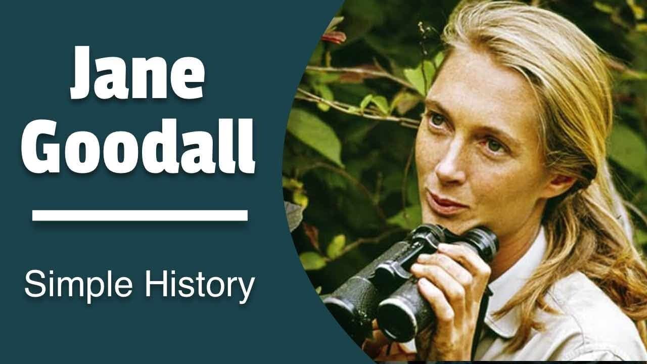 Jane Goodall: Friend of the Chimps