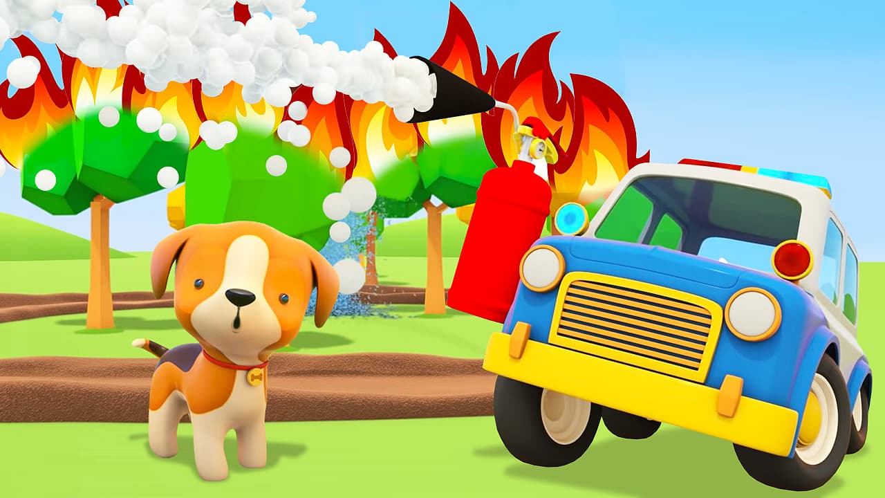 Forest Fire
