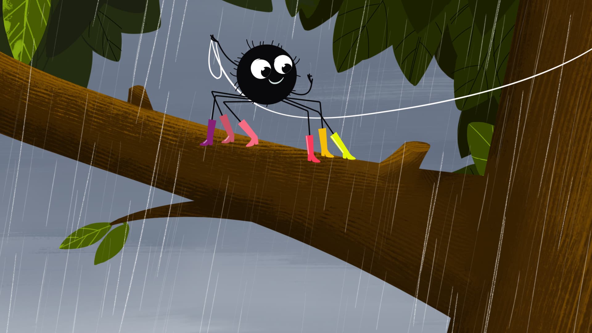 Spider's Web