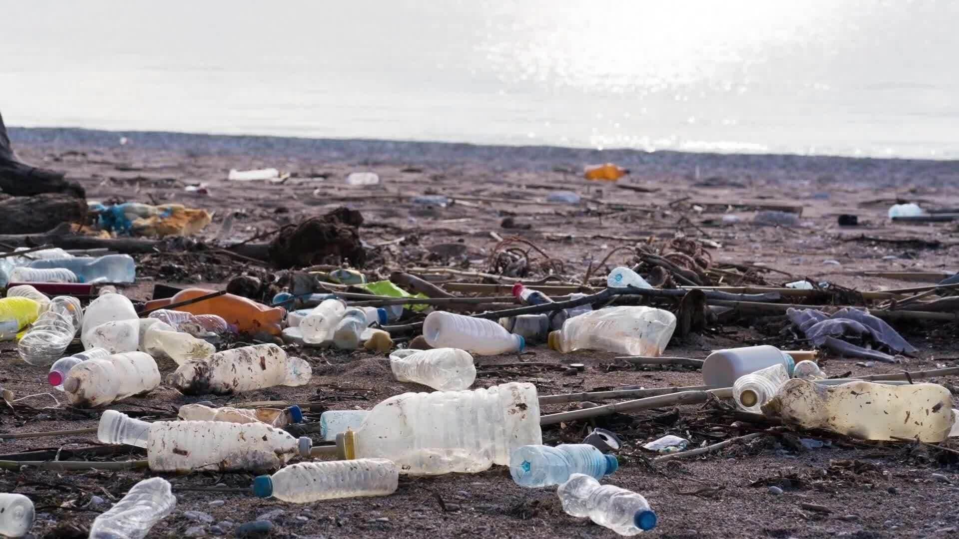 I WONDER - How Can Recycled Plastic Be Reused?