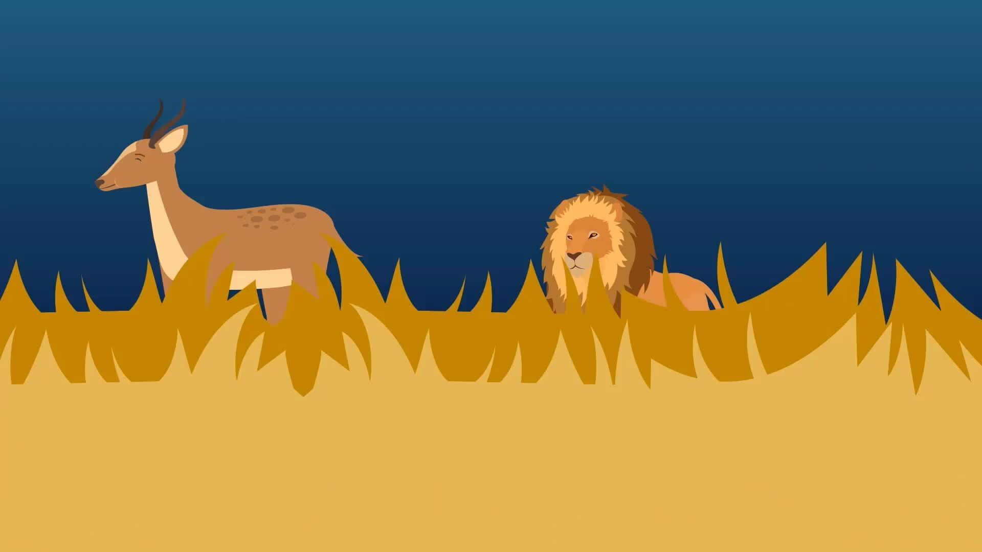 I WONDER - How Do Lions Hunt?