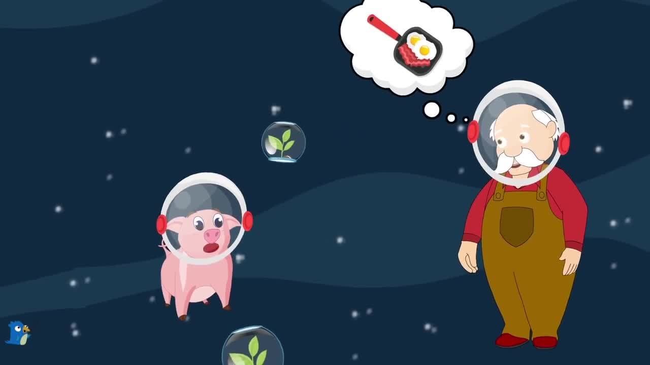 Old MacDonald Had A Farm Nursery Rhyme