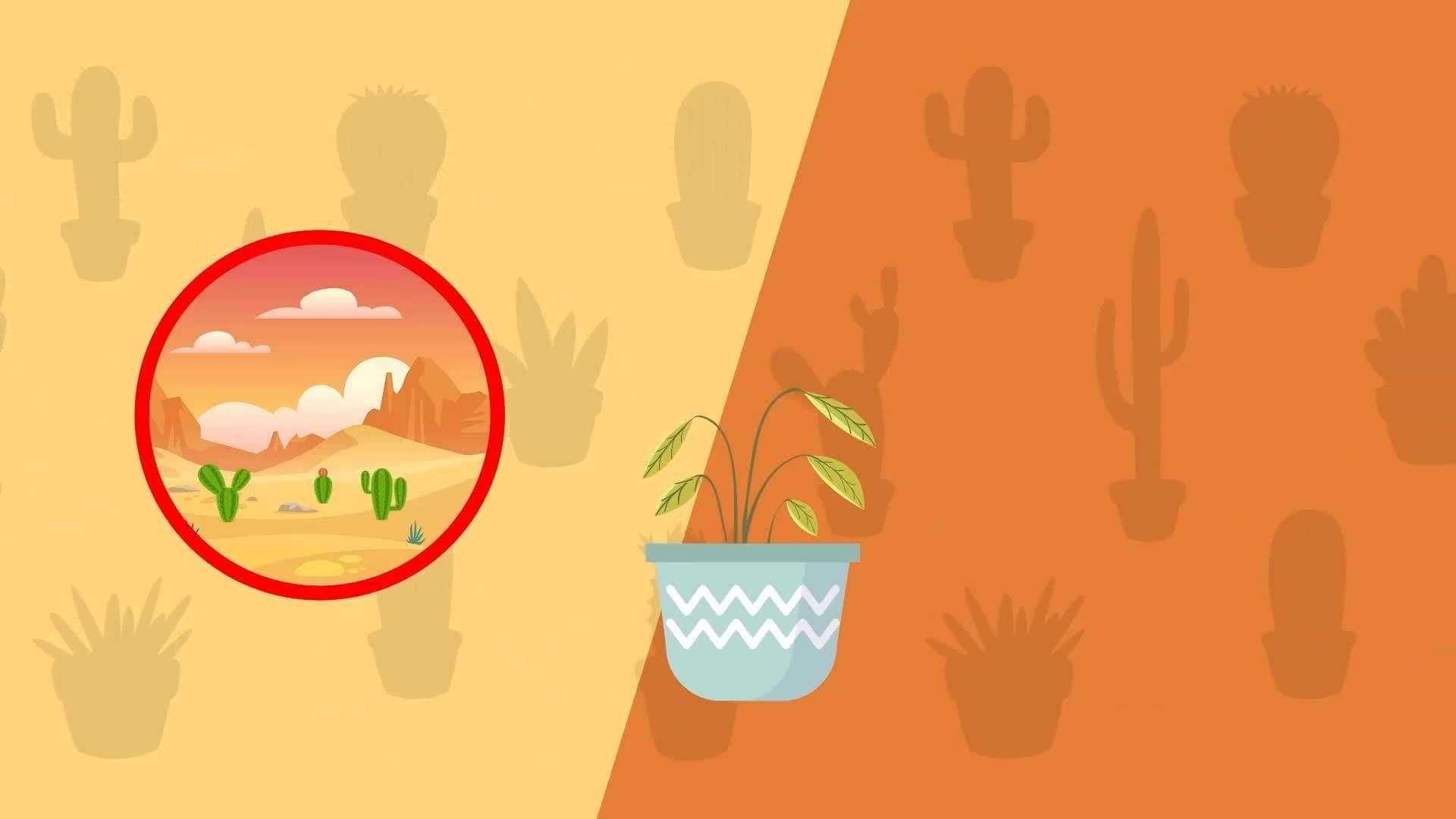 Weird Plants for Kids