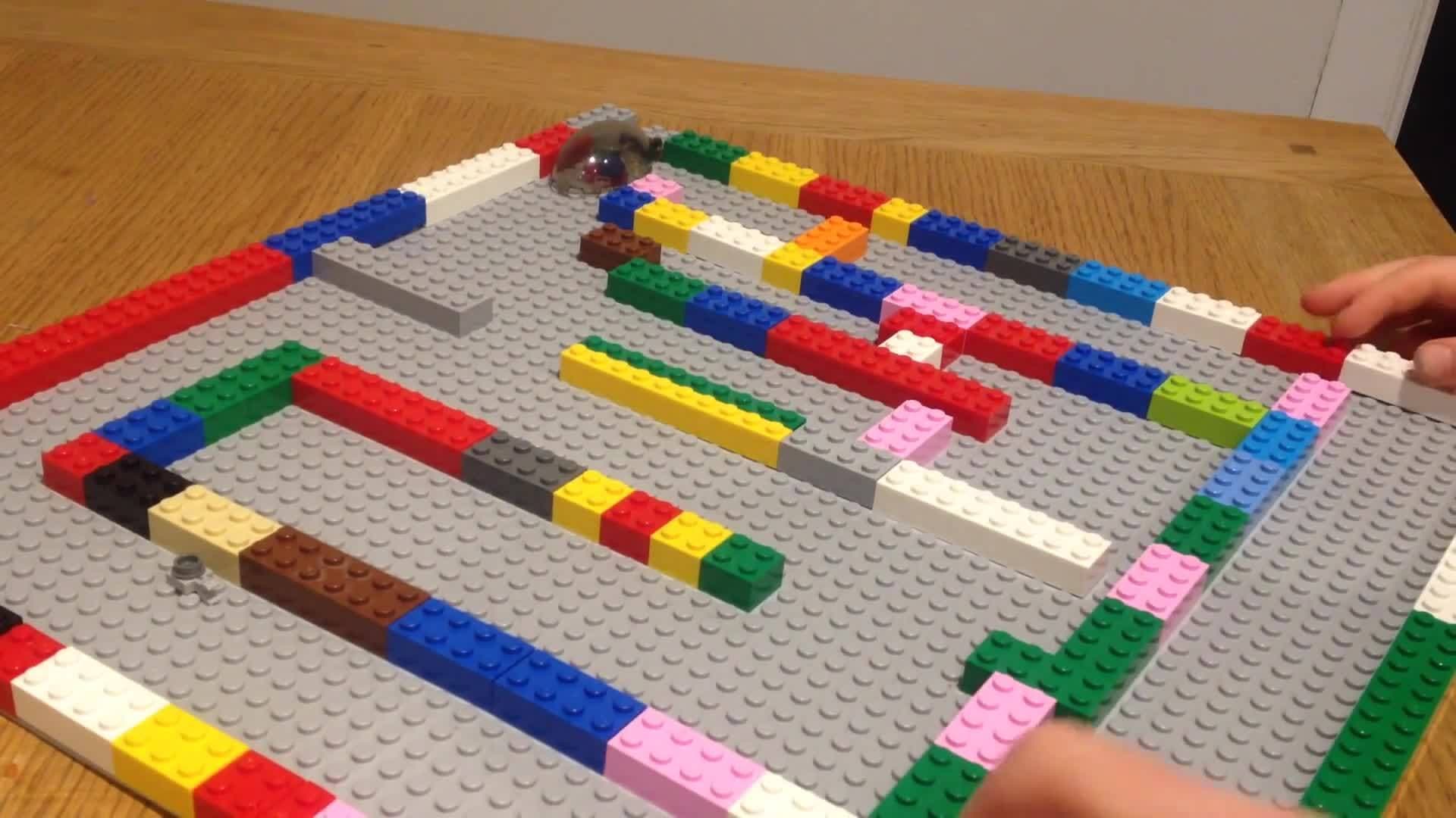 LEGO MAGNET MAZE