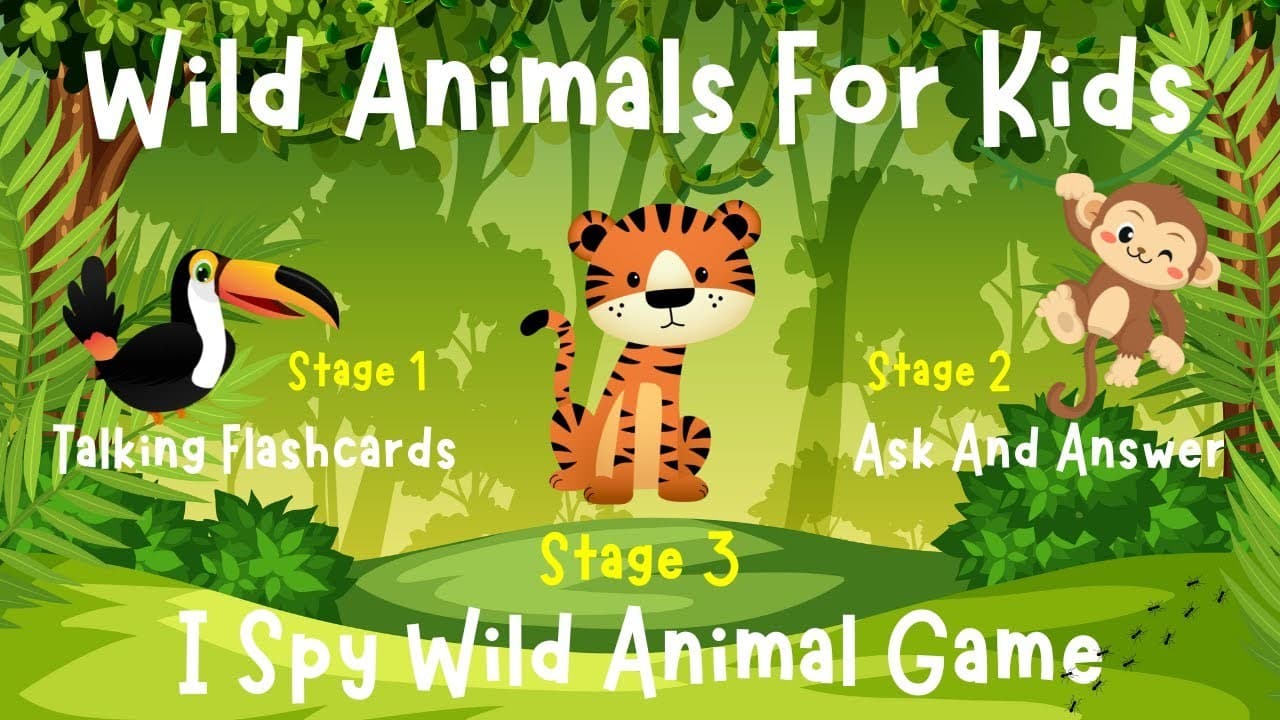 Wild Animals For Kids | Ask And Answer | Wild Animals I Spy Game | 4K